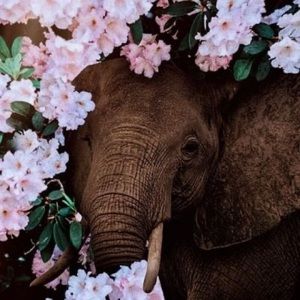 Meet your Posher, Magdalena